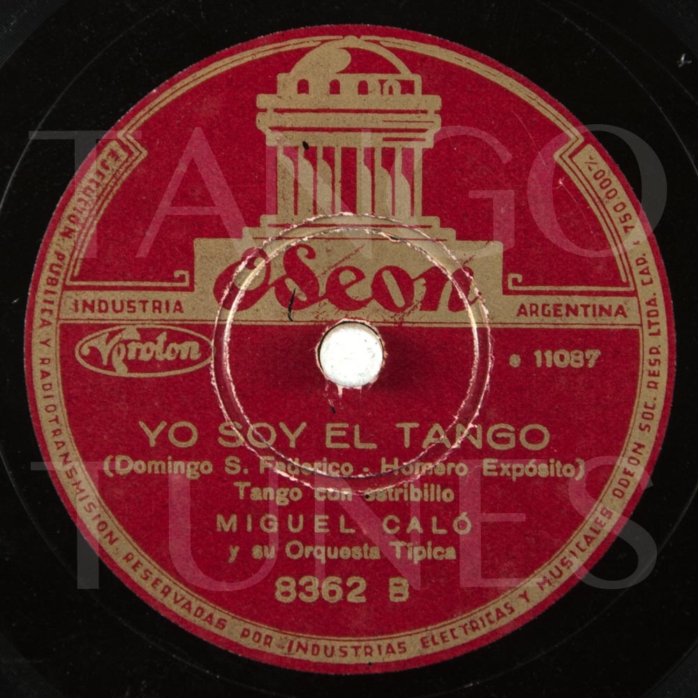 Yo soy el tango