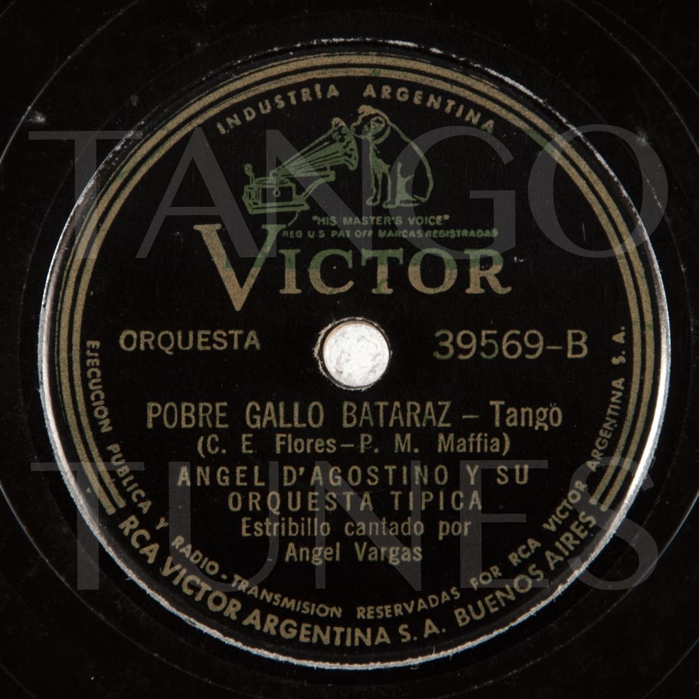 Pobre gallo bataraz