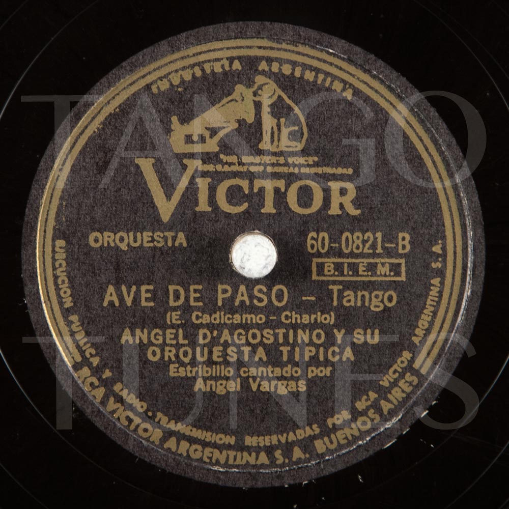 Ave de paso