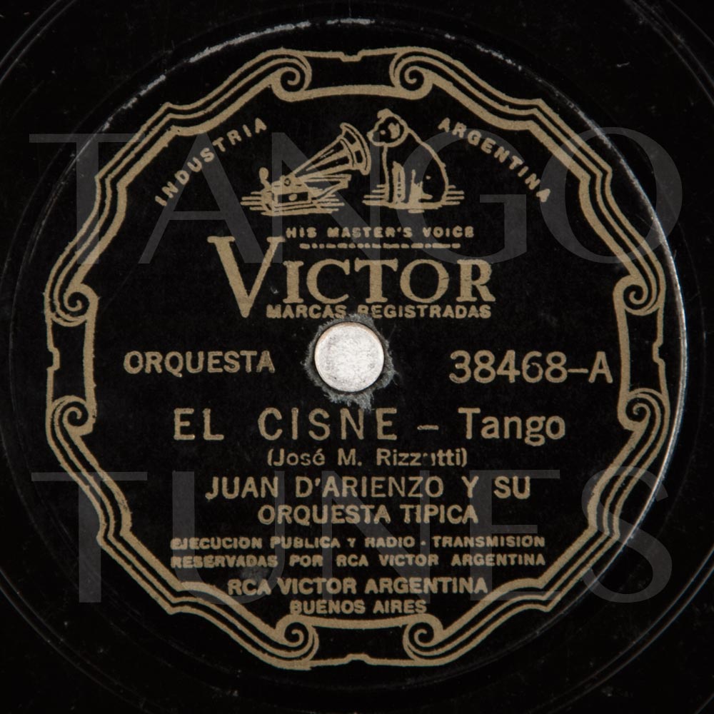 El cisne