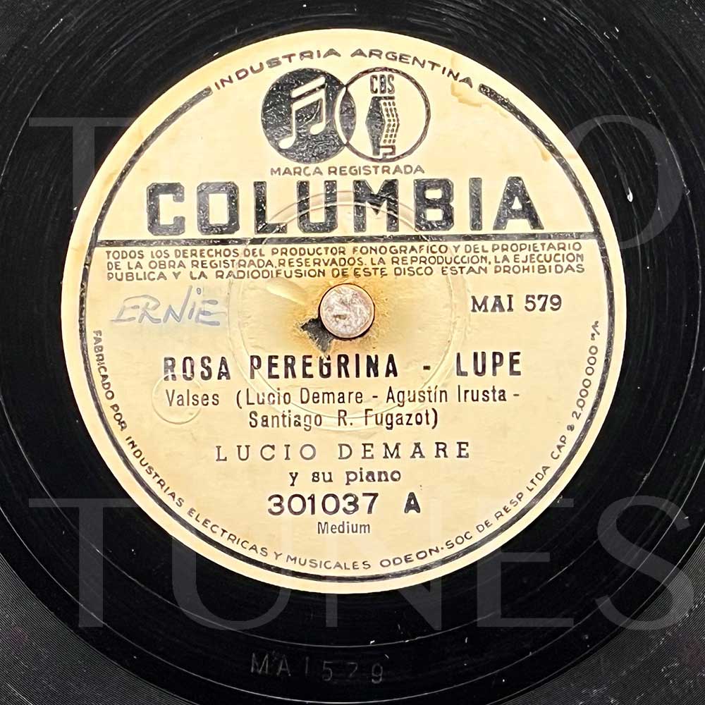 Rosa peregrina – Lupe