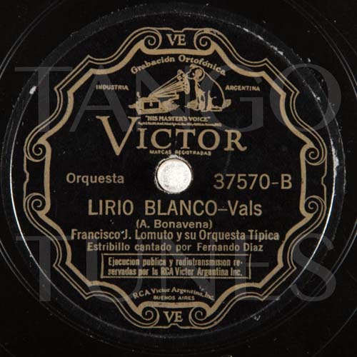 Lirio blanco